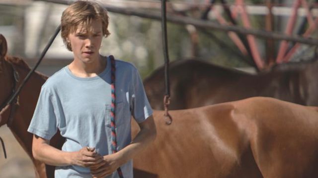 "Lean On Pete": Im ersten berührenden Trailer freundet sich Charlie Plummer mit einem Pferd an