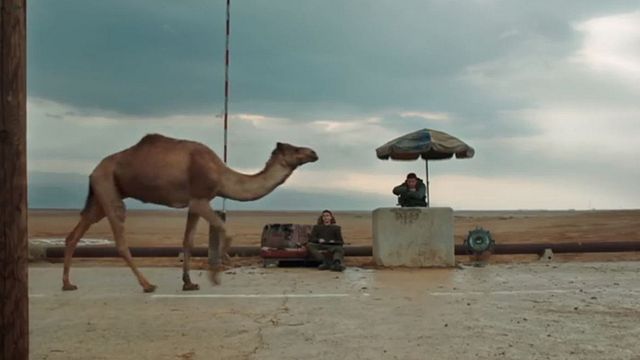 bild aus der news Mit einem Kamel am bewachten Grenzübergang: Neuer Trailer zum Oscarfavoriten "Foxtrot"