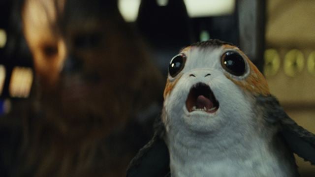 Die süßen Porgs aus "Star Wars: Die letzten Jedi" könnten für eine Umweltkatastrophe sorgen