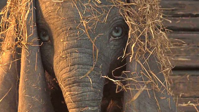 bild aus der news "Dumbo": Der erste Trailer zu Tim Burtons Neuverfilmung des Disney-Klassikers