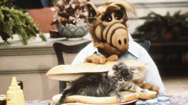 bild aus der news Kein Comeback: "Alf"-Stimme und Synchronlegende Tommi Piper hat Zoff mit Netflix