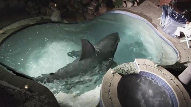 Trailer zu "The Burning Kiss": Ein Hai im Pool und blutige Scheren im Bett