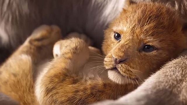 bild aus der news "Der König der Löwen": Remake bricht schon jetzt den ersten Rekord!