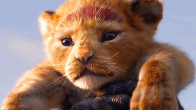 "Der König der Löwen": Disney reagiert auf Befürchtungen der Fans