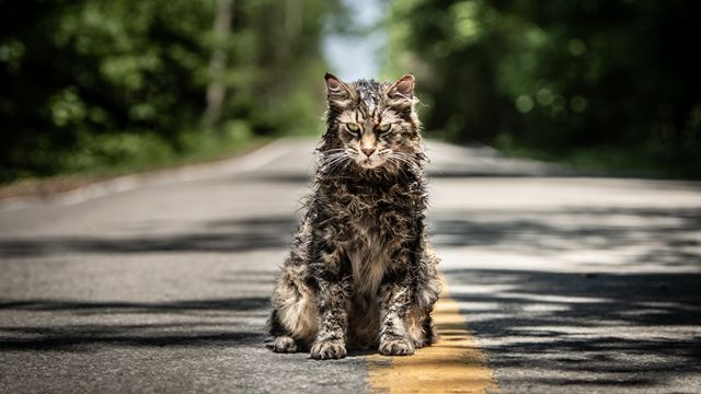 Hart, kompromisslos und ganz sicher kein Happy-End: Was uns am Set von "Friedhof der Kuscheltiere" versichert wurde