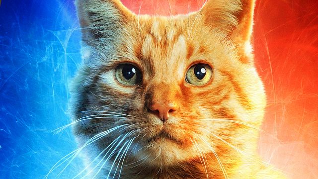 bild aus der news Mit dem wahren Star aus "Captain Marvel": Marvel trollt seine Fans - und es ist großartig!