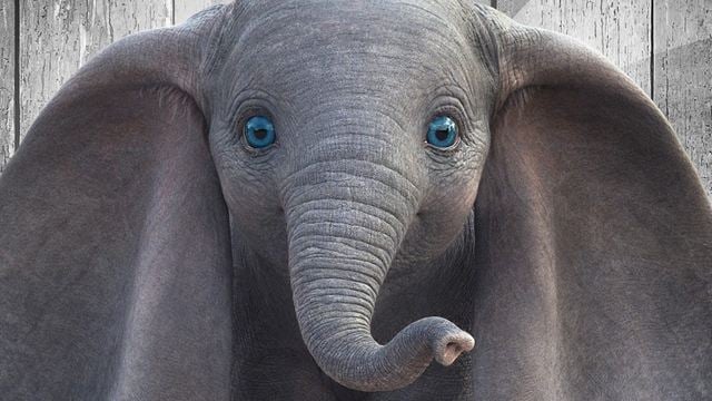 Lieber Frühling als Kino: "Dumbo" mit schwachen Zahlen an der Spitze der Kinocharts