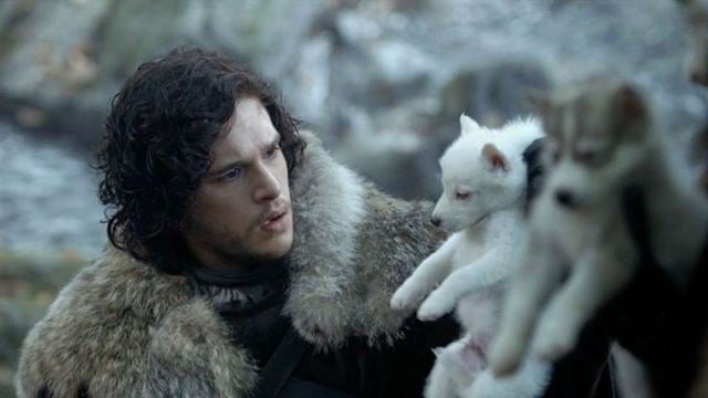 "Game Of Thrones": So haben die Namen der Schattenwölfe das Schicksal von Jon & Co. vorhergesagt