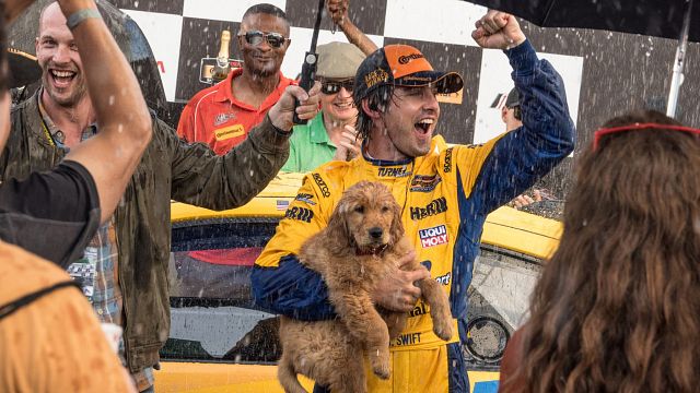 bild aus der news Auf den Spuren von "Marley & Ich": Deutscher Trailer zu "Enzo und die wundersame Welt der Menschen"