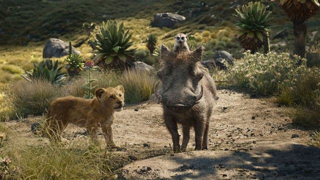 "Der König der Löwen": Neues Video zeigt endich mehr von Timon und Pumbaa!