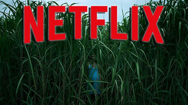 Die nächste Stephen-King-Verfilmung bei Netflix: Trailer zu "Im hohen Gras"