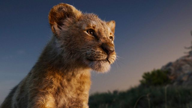 bild aus der news "König der Löwen": Darum nennt Elton John das Remake "eine riesige Enttäuschung"!