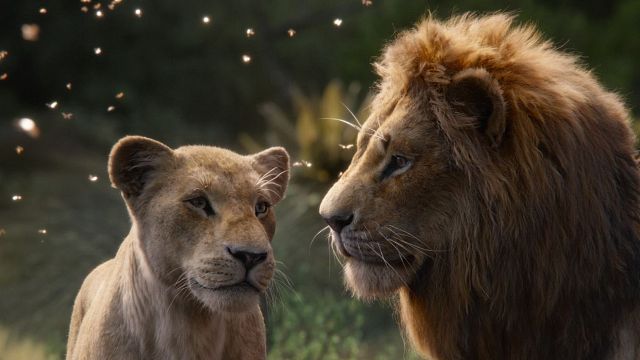 bild aus der news Darum sind die Oscar-Chancen von "Der König der Löwen" gerade stark gesunken