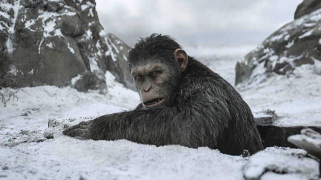 Disney setzt "Planet der Affen" fort: Darum ist der Regisseur genau die richtige Wahl