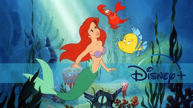 bild aus der news Fan-Sorgen wegen "Arielle" auf Disney+: Gibt es die geliebte alte Synchro?