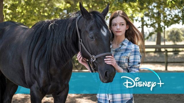 Mit Kate Winslet als Pferd: Deutscher Trailer zum "Black Beauty"-Remake für Disney+