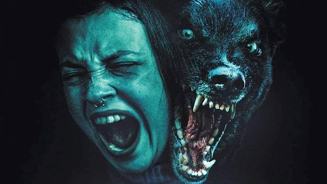 bild aus der news Gnadenloser Tierhorror und beklemmendes Kammerspiel: Der deutsche Trailer zu "Growl" verspricht einen würdigen "Cujo"-Nachfolger