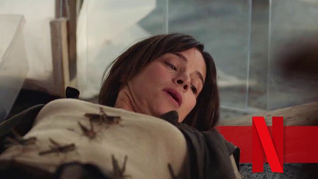 bild aus der news Ekliger Netflix-Trailer zu "Schwarm der Schrecken": Diese Horror-Insekten wollen dein Blut!