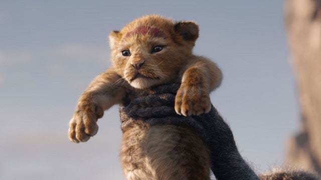 "Der König der Löwen"-Remake: Was wir über das Sequel "The Lion King 2" wissen
