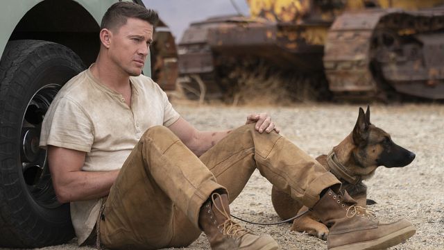 bild aus der news Einer der härtesten Filme der vergangenen Jahre bekommt ein Hollywood-Remake – mit Channing Tatum