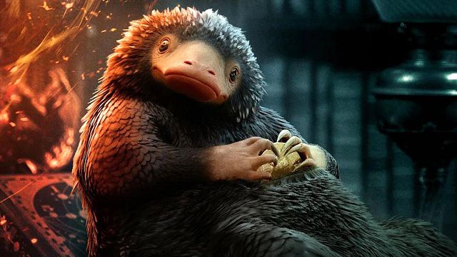 bild aus der news "Harry Potter"-Überraschung: Fan-Liebling der "Tierwesen"-Reihe bekommt einen Namen – und der ist absolut fantasielos