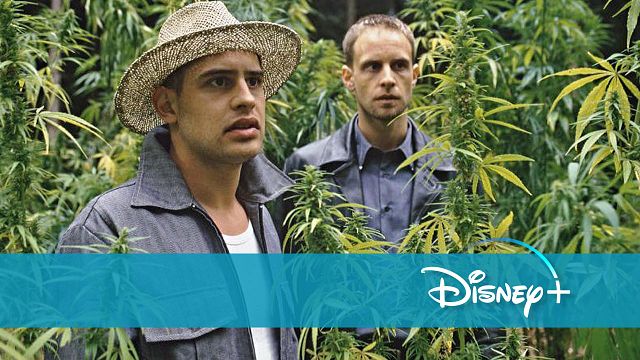 bild aus der news Ausgerechnet bei Disney+ startet heute eine der kultigsten Kifferkomödien überhaupt!