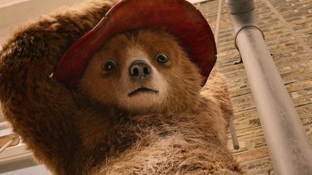 Nicht nur Nicolas Cage wird das freuen: "Paddington 3" kommt endlich