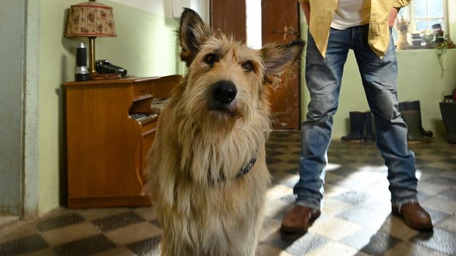 bild aus der news Da geht die Einschaltquote sicher durch die Decke: Heute feiert einer der erfolgreichsten Kinofilme 2021 seine TV-Premiere!