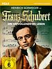 Poster der Franz Schubert - Ein Leben in zwei Sätzen