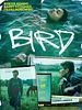 Poster der Bird