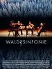 Poster der Wald:Sinfonie