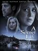 Poster der A Secret Life