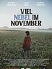 Poster der Viel Nebel im November