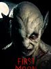 Poster der First Moon