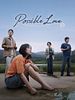 Poster der Possible Love