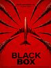 Poster der Flight 298