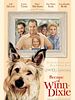 Poster der Winn-Dixie - Mein zotteliger Freund