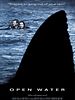 Poster der Open Water