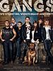 Poster der Gangs