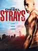 Poster der Strays - Lebe dein Leben