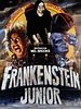 Poster der Frankenstein Junior
