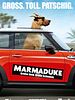 Poster der Marmaduke