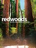 Poster der Redwoods