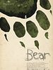 Poster der Bear