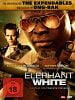 Poster der Elephant White