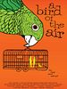 Poster der A Bird of the Air