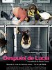 Poster der Después de Lucía