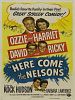 Poster der Here comes the Nelsons