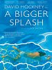 Poster der A Bigger Splash