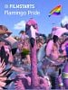 Poster der Flamingo Pride